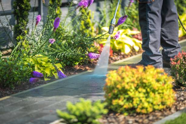 Best Gutter Cleaning  in Somerset, NJ